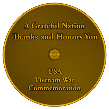 Vietnam Veteran Lapel Pin (Back)